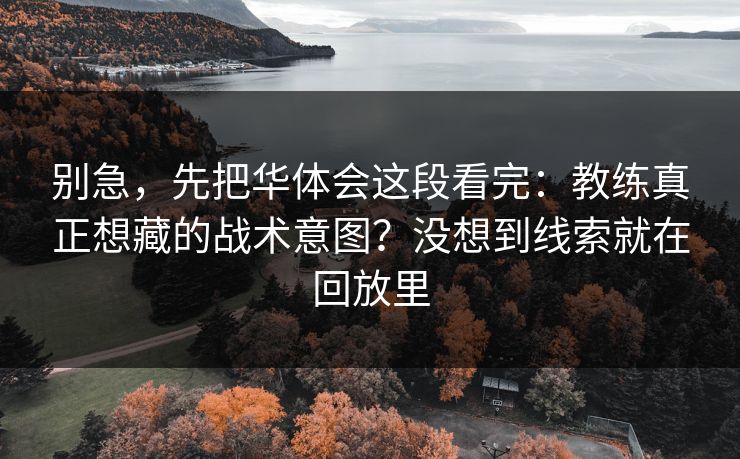 别急，先把华体会这段看完：教练真正想藏的战术意图？没想到线索就在回放里