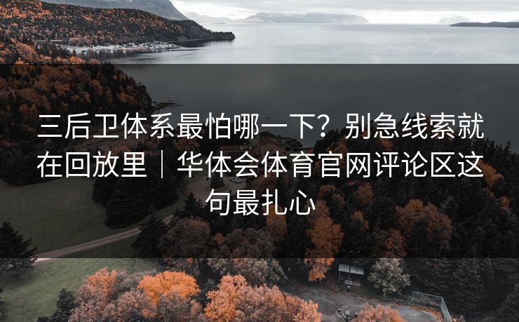 三后卫体系最怕哪一下？别急线索就在回放里｜华体会体育官网评论区这句最扎心